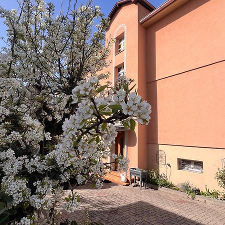 T3 + Veranda A Strasbourg Exterior photo